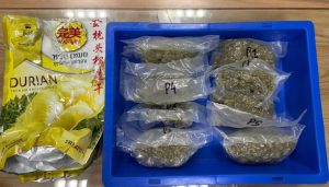 Hydroponic Weed Worth Rs 74.5 Lakh Seized From Bangkok–Pune Air India Express Flight Lavatory