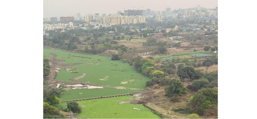 Mula River Hinjawadi Blue Ridge