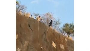Swift Response by Cops Saves Woman Planning to Jump from 200-ft hill