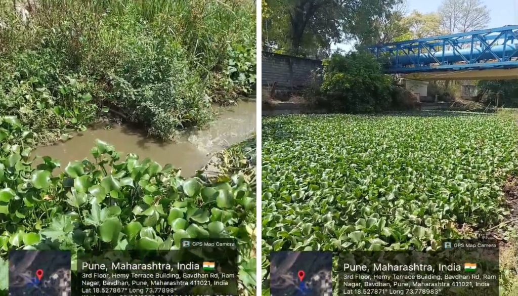 Allegations of Untreated Sewage Discharge Into Pashan Lake Raise Environmental Concerns
