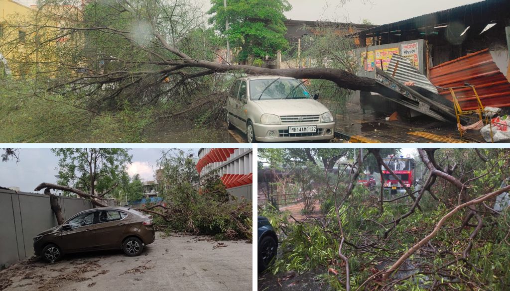 Heavy rain triggers 17 tree falls, wall collapse in Pimpri Chinchwad