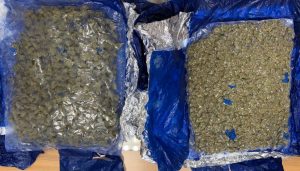 Passenger from Bangkok Arrested with Hydroponic Marijuana Worth Rs 33.6 Lakh