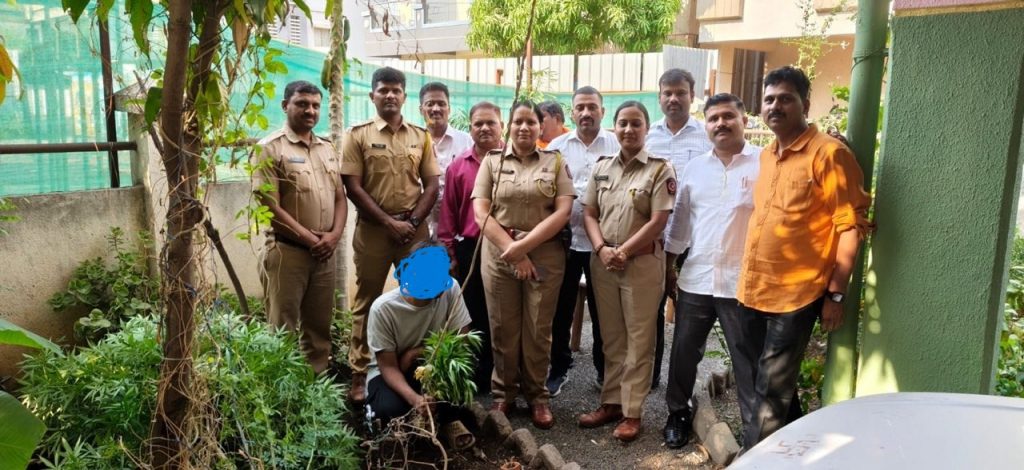 Pune Police Bust Marijuana Cultivation in Lohgaon Bungalow