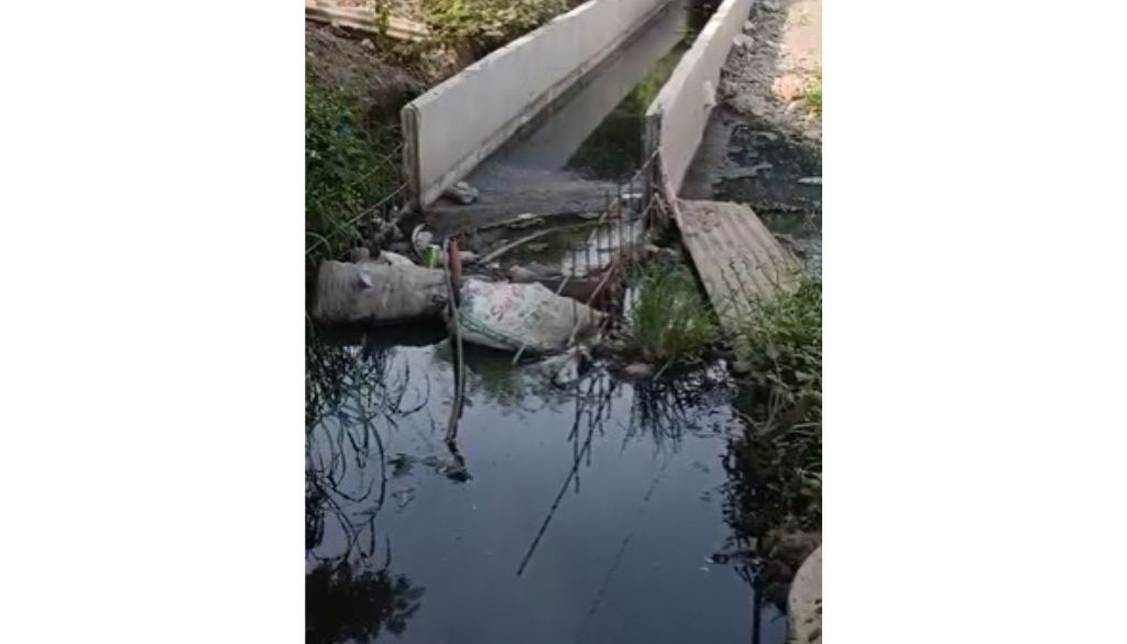 RTI Documents Link NHAI to Pashan Lake Fish Deaths in Pune