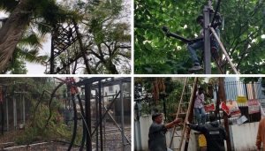 Rain Fury Knocks Out Power in Parts of Pune