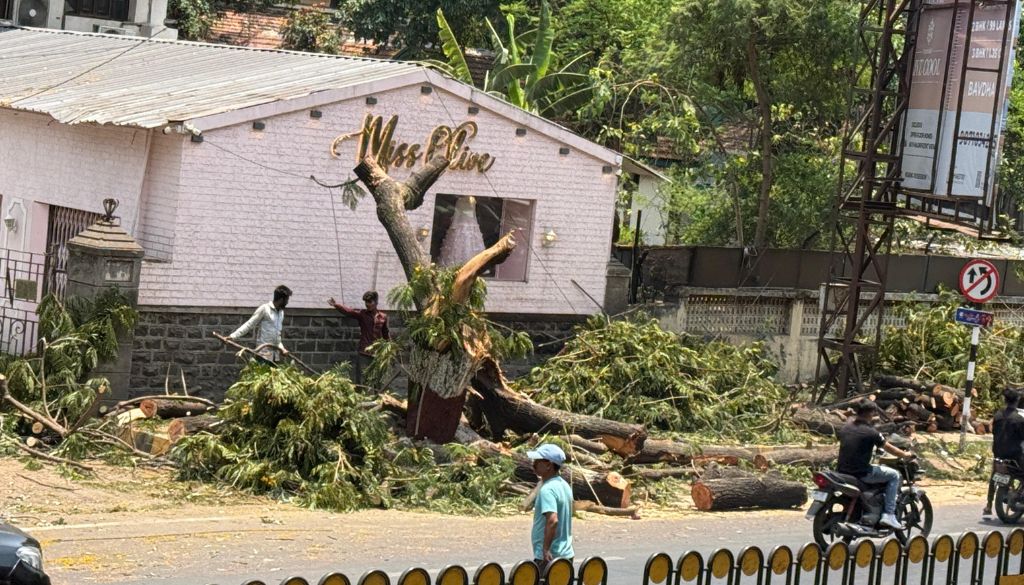 Row Erupts in Pune Camp as Decades-Old Tree Cut on East Street