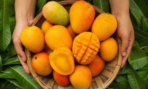 Alphonso