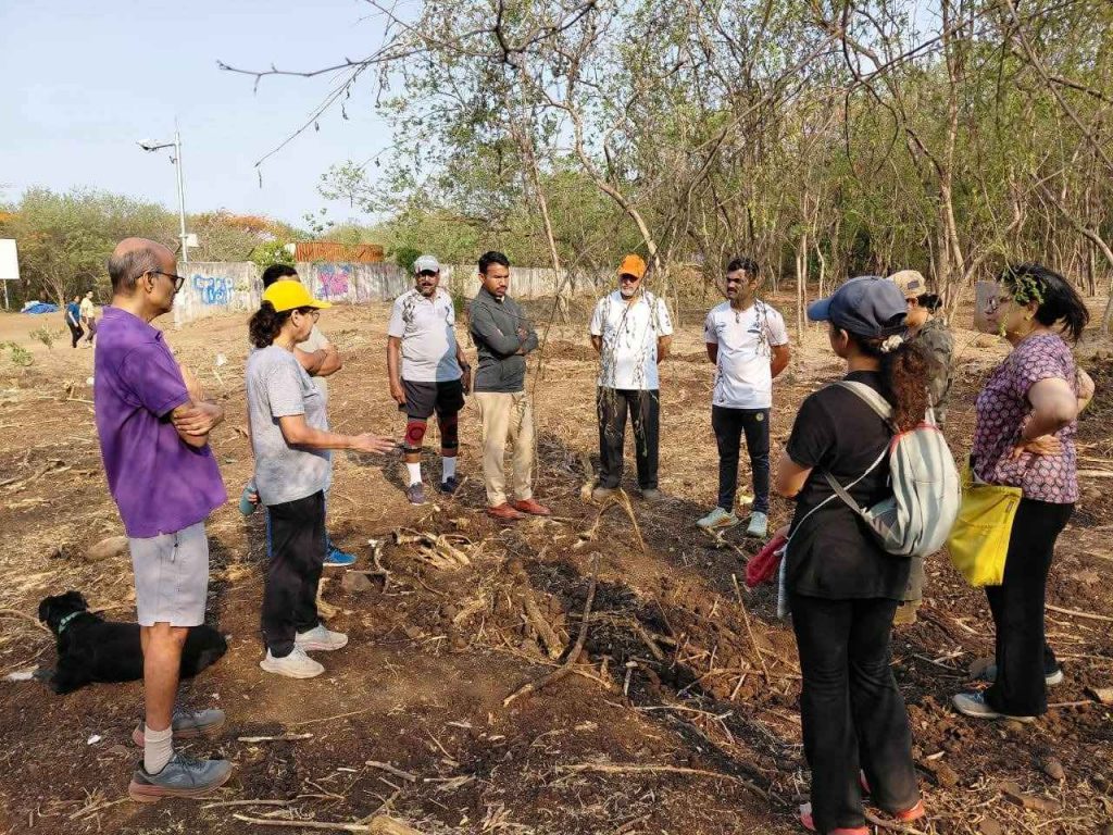 Forest Department Clears 4 Hectares on Vetal Tekdi