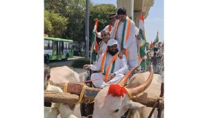 NCP Takes Out Bullock Cart Rally at PMC