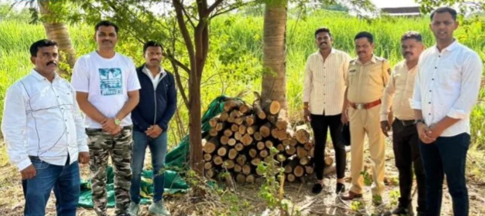 Pune Rural Police Seize 560 Kg Sandalwood Worth Rs 28 Lakh in Purandar Raid