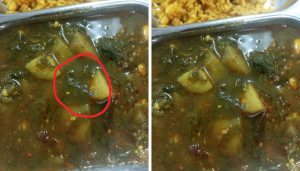 Scrubbing Pad Found in Meal at SPPU’s Mess