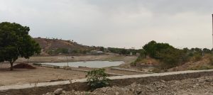 South Pune’s Wadachiwadi Lake Faces Ecological Collapse Amid Neglect and Urbanisation