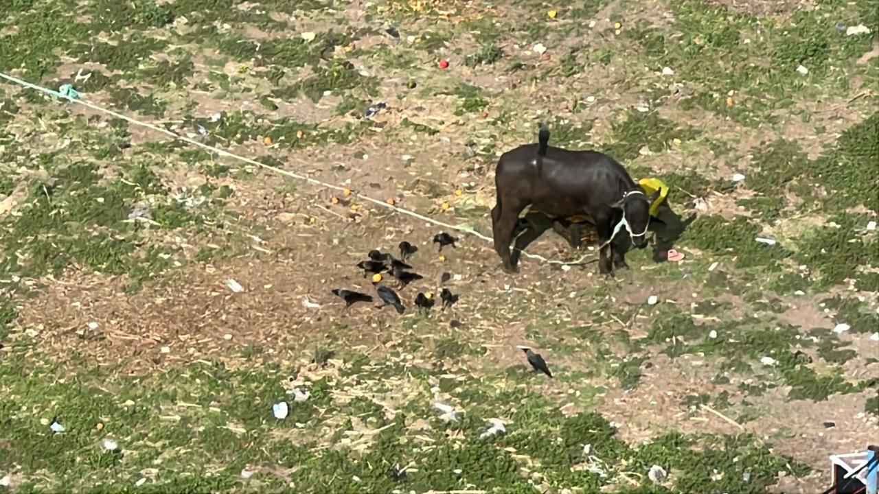 DP-Reserved Plot Meant for Garden Now a Garbage Dump and Cattle Enclosure, Claim Mohammedwadi Residents