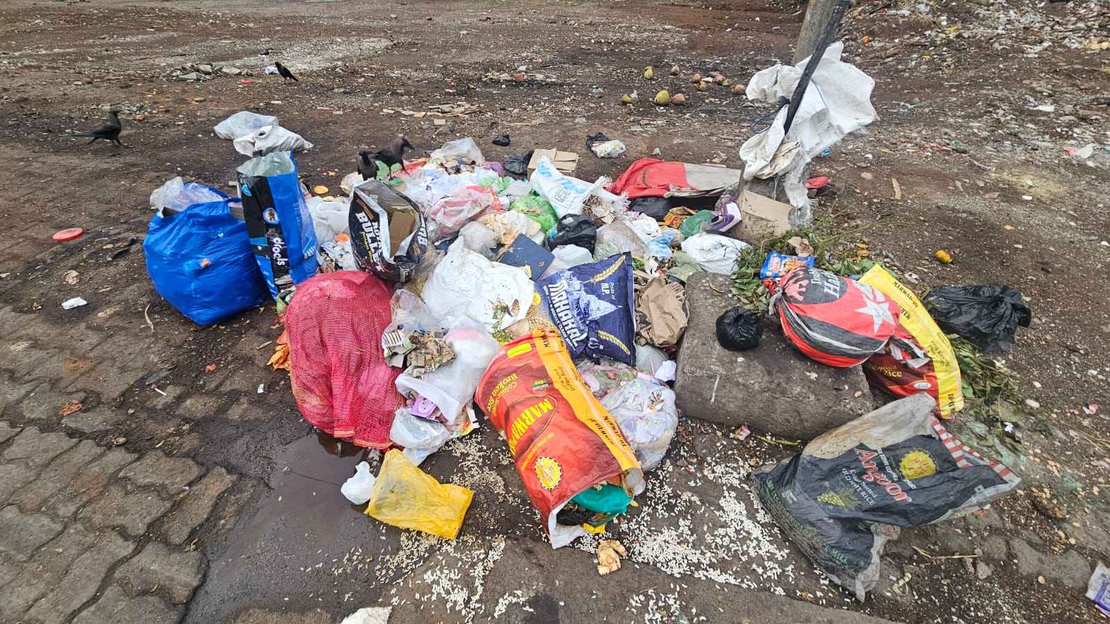 Garbage Continues to Pile Up Near Jain Township in Hadapsar
