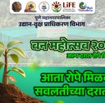 PMC Launches ‘Green Warrior’ Campaign in Pune: Get Certified, Plant Trees and Buy Saplings for Just Rs 5