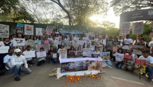 Pune Residents Form Human Chain for Animals, Join Global Movement Across 50 Countries