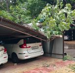 Pune: Tree Falls on Shed and Two Cars at Shivajinagar Police Headquarters; No Injuries Reported