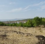 Wanowrie–Ramtekdi SRPF Forest Corridor Under CCTV Surveillance: Pune Police Boost Security