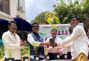 Want Free Tree Saplings in Pune 1