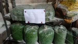 matar seized by fda