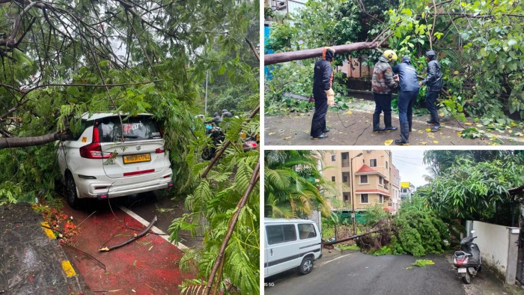 Heavy Rain Triggers 51 Tree-Fall Incidents Across Pune City in 20 Hours