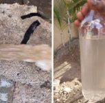 Pune: Mohammadwadi Residents Continue to Receive Muddy PMC Water Months After Water Tank Inauguration