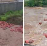 Maharashtra Floods: Nearly 3,000 LPG Cylinders Washed Into Patalganga River After HPCL Plant Breach