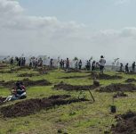Pune: Over 400 Saplings Planted at Yewalewadi as Part of 5,100 Devruksha Sankalpana