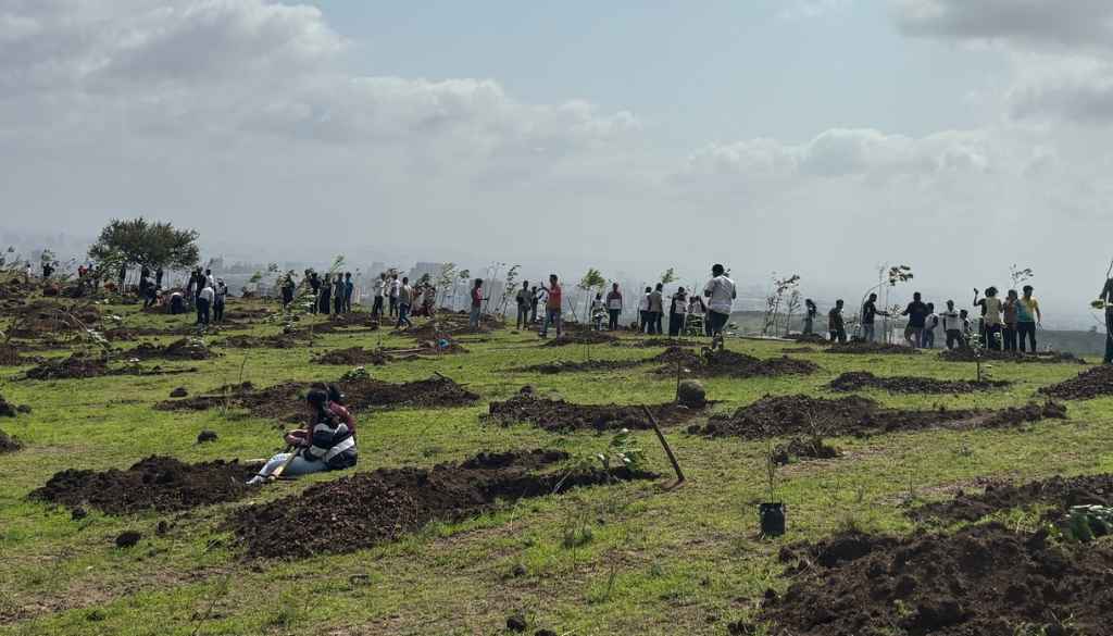 Over 400 Saplings Planted at Yewalewadi