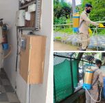 Pune: PCMC Steps Up Anti-Dengue Drive, Urges Citizens to Prevent Waterlogging
