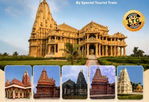 Pune to 7 Jyotirlinga Darshan