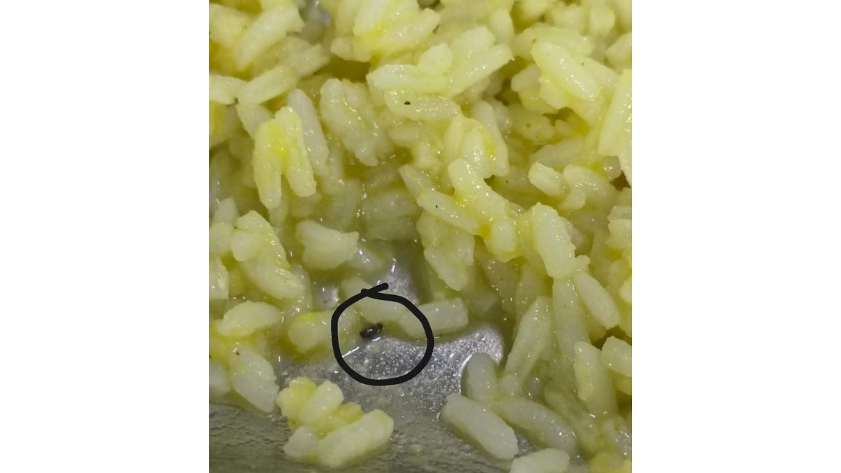 SPPU Students Demand Accountability After Sixth Food Contamination Incident in a Month