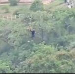 Maharashtra: Tourist Safely Rescued After Zipline Gets Stuck Over 3,500-Foot Gorge in Toranmal