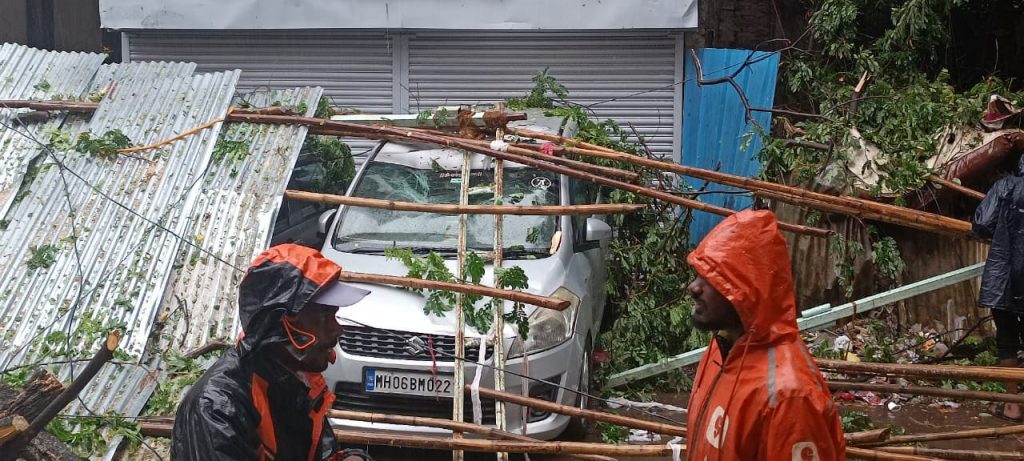 Tree Collapse in Rasta Peth Sparks Demand for Hazardous Tree Inspection