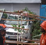 Pune Monsoon Alert: Tree Collapse in Rasta Peth Sparks Demand for Hazardous Tree Inspection