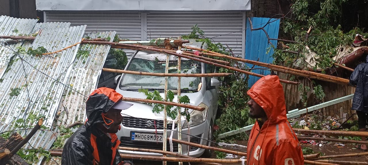 Tree Collapse in Rasta Peth Sparks Demand for Hazardous Tree Inspection