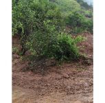 Pune: Varandha Ghat Landslide Halts Traffic on Bhor–Mahad Road; No Casualties Reported