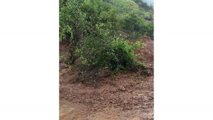 Varandha Ghat Landslide Halts Traffic on Bhor–Mahad Road