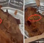 Pune: Customer Claims Worm Found in Food Bought from PAUL Bakery at Phoenix Mall
