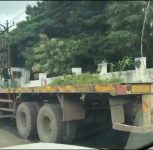 Pune Chakan MIDC: Heavy Vehicles Continue Roadside Parking Despite Friday Deadline for Action