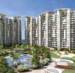 Housing Society Restricting Common Amenities for Smaller Flats? Legal Experts Explain Residents’ Rights