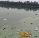 NGT Cracks Down on Nanded Civic Body Over Godavari River Pollution