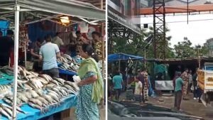 PMC Removes Illegal Fish Market Near Lavanya Hotel in Mohammadwadi