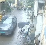 Pune: Stray Dog Dies After Being Hit By Car In Katraj; Case Registered
