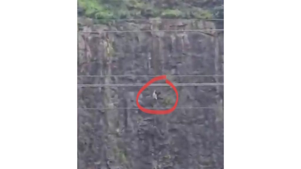 Teen Jumps From Hill, Parents Die While Trying To Save Him