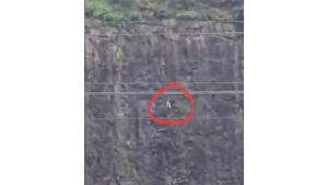 Teen Jumps From Hill, Parents Die While Trying To Save Him