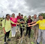 Vishwakarma University School of Pharmacy Plants 100 Native Trees at Diveghat