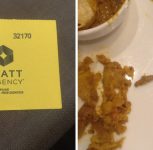 Worm Found in Meal at Hyatt Regency Pune, Customer Complains