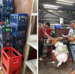 Zepto Lohgaon Among 16 Establishments Facing FDA Action in Pune Division Over Food Safety Violations