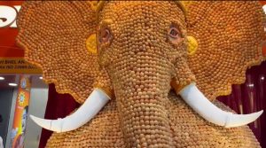 21,000 Pani Puri Puris Used to Create This 13-Foot Ganpati on FC Road
